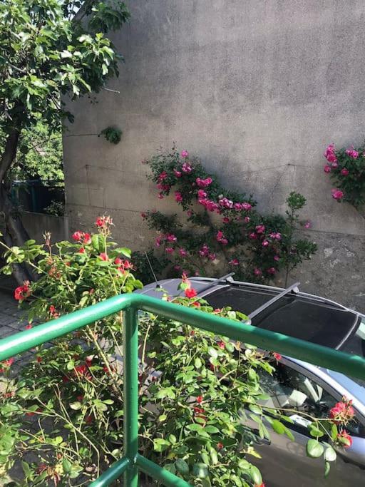 3 Chambres/ Bail Mobilite Possible 비트리쉬르센 외부 사진